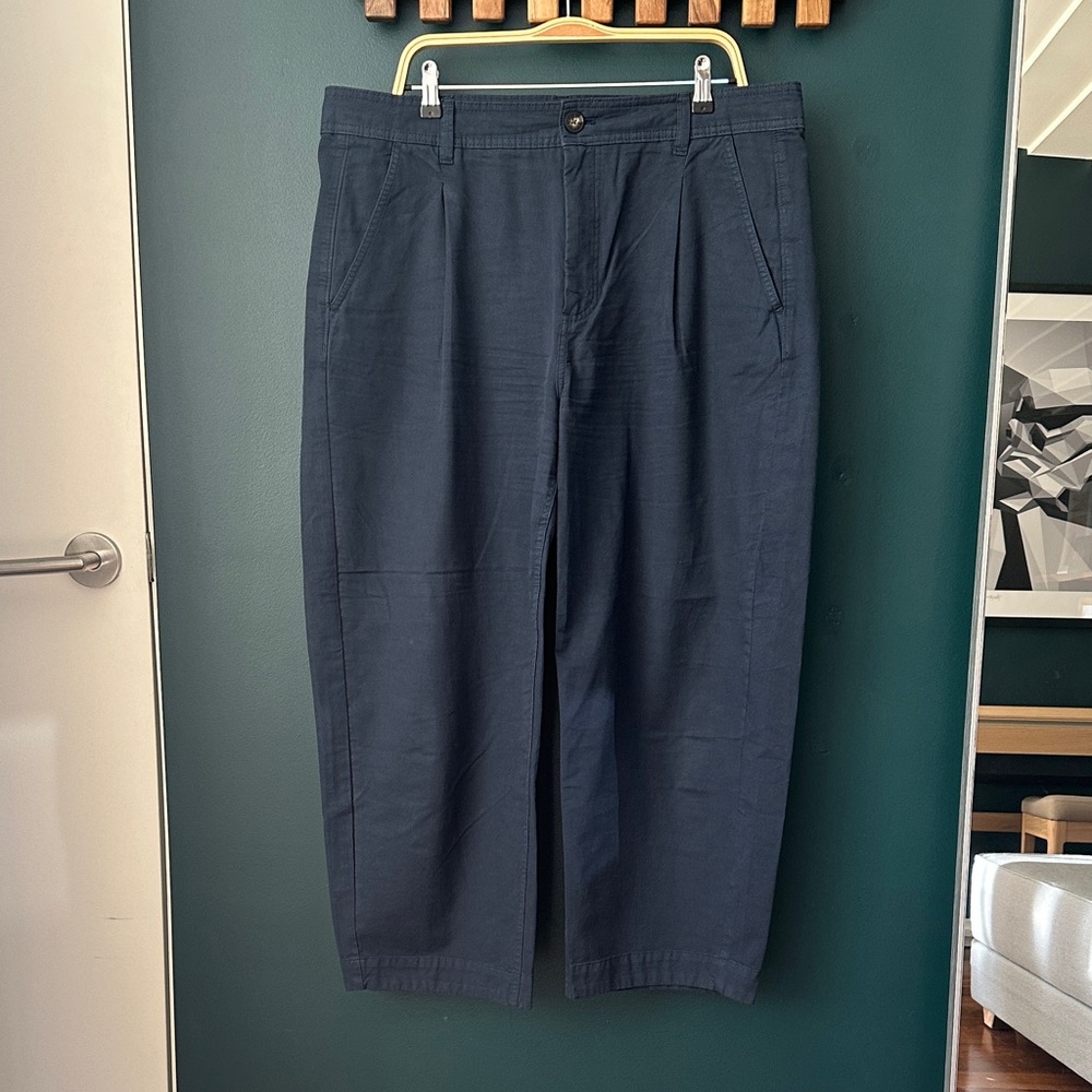 Everlane Dark Blue Cropped Chinos